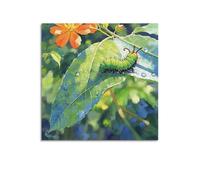 CMHONLY Caterpillar Crawling on Leaf with Water Drops Poster Modern Wall Art Canvas Aesthetic Decoration Painting 16x16inch(40x40cm) Unframe-style