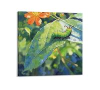 CMHONLY Caterpillar Crawling on Leaf with Water Drops Poster Modern Wall Art Canvas Aesthetic Decoration Painting 12x12inch(30x30cm) Frame-style