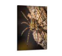 CMHONLY Spider Clinging to Tree Trunk Poster Modern Wall Art Canvas Aesthetic Decoration Painting 20x30inch(50x75cm) Frame-style
