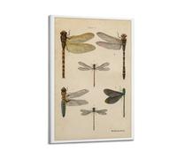 CMHONLY Various Dragonfly Forms in Illustration Poster Modern Wall Art Canvas Aesthetic Decoration Painting 12x18inch(30x45cm) Frame-style