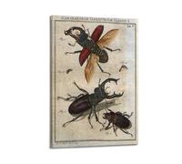 CMHONLY Various Forms of Stag Beetles in Vintage Illustration Poster Modern Wall Art Canvas Aesthetic Decoration Painting 12x18inch(30x45cm) Frame-style