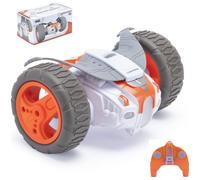 CMJ 2Wheel Stunt Small RC Car