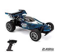CMJ RC Cars™ Blue Remote Control Zoom Buggy 1:16 Electric Radio Controlled Car High Speed Racer 2.4Ghz