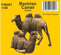 CMK/Czech Master Kits CMF48401 1:48 Bactrian Camel