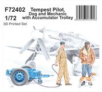 CMK/Czech Master Kits CMF72402 1:72 RAF