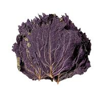 cn herb 250g Perilla Leaves Are Sessile and Dried Perilla