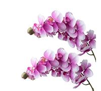 cn-Knight 2pcs 28" Real Touch Butterfly Orchid Lifelike Phalaenopsis Highly Simulated Moth Orchidfor Artificial Flower for Wedding Home Office Décor Baby Shower Party Centerpieces(Light Purple)