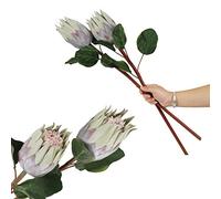 cn-Knight 4pcs Artificial Protea Flower Buds,26 Inch Super Long Stem Faux Protea Artificial Flower Bud, Silk Protea Bud for Home Decor Centerpiece Crafts Wedding Bouquet,Green