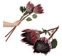 cn-Knight 4pcs Artificial Protea Flowers,26 Inch Super Long Stem Faux Protea Artificial Flowers, Silk Protea for Home Decor Centerpiece Crafts Wedding Bouquet Supply,Dark Red