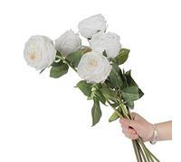 CN-Knight 6pcs Eden Artificial Flowers, 24 Inch Super Long Stem David Austin Rose, Real Touch Silk Cabbage for Home Decor Centerpiece Crafts Wedding Bouquet Supply, White