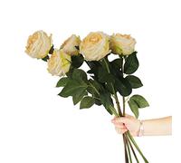 cn-Knight 6pcs Eden Artificial Flowers, 24 Inch Super Long Stem David Austin Rose, Real Touch Silk Cabbage Rose for Home Decor Centerpiece Crafts Wedding Bouquet Supply, Yellow