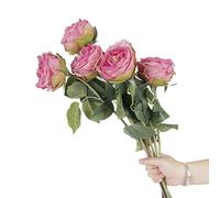 CN-Knight 6pcs Eden Artificial Flowers, 24 Inch Super Long Stem David Austin Rose, Real Touch Silk Cabbage for Home Decor Centerpiece Crafts Wedding Bouquet Supply, Deep Pink