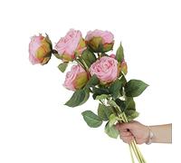 cn-Knight 6pcs Eden Rose Artificial Flowers,24 Inch Super Long Stem David Austin Rose,Real Touch Silk Cabbage Rose for Home Decor Centerpiece Crafts Wedding Bouquet Supply,Light Pink