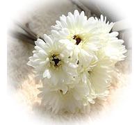 cn-Knight Artificial Flower 3 Bundles of 11" Silk Daisy Bouquet for Wedding Bridal Toss Bouquet Bridesmaid Corsages Boutonniere Home Décor Office Baby Shower Party Centerpieces(White)