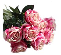 cn-Knight Artificial Flower 6pcs 22'' Long Stem Silk Velvet Rose Real Touch Faux Flower for Wedding Bridal Bouquet Bridesmaid Home Decor Office Hotel Baby Shower Party Prom Centerpiece(Gradient Pink)