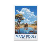 CNAHEIZ Mana Pools National Park Vintage Travel Posters Tree 24x36inch(60x90cm) Canvas Wall Art Print Painting for Wall Decor Living Room Bedroom