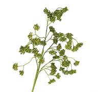 CNANRNANC Soft Artificial Berry Stem, 15.75 Inch Plastic Plum Branch For Christmas Tree Diy Decorations, Fall Harvest Thanksgiving Table Setting(Green)