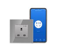 CNBINGO WiFi Single Socket, Smart Switched Socket with Indicator,Smart Life App Control,Timer,Wall Power Socket Work with Alexa, Google Assistant,Grey Glass Panel,Outlet AC 13Amp 240V