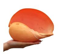 CNDBAHHE Large marine shells, Natural shell, Large Natural Sea Shells 8-13Cm for Decoration and DIY Crafts(8~10cm)