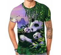 Cndiyike Soccer T Shirts for Men,3D Printed Graphic Short Sleeve Tees, Panda Cuddles, XL