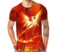 Cndiyike Soccer T Shirts for Men,3D Printed Graphic Short Sleeve Tees, Phoenix, Medium