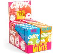 CNDY Mints | Spearmint, Orange, Berry Flavoured | Xylitol Mints | Aspartame Free | Sugar Free, 60 Cal | 25 Pieces (Pack of 12)