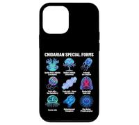 Cnidarian Special Forms Jellyfish & Comb Jelly Species Chart Case for iPhone 12 mini