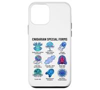 Cnidarian Special Forms Jellyfish & Comb Jelly Species Chart Case for iPhone 12 mini