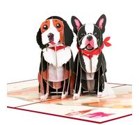 CNLITIHEKA Dog Pop Up Card Valentine Cards Happy Anniversary Greeting Card 3D Pop Up Birthday Card Wedding Card Thinking of You Card for Her & Him with Envelope and Blank Note.