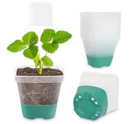 CNNIK Pack of 12 Propagation Pots with Silicone Base Flower Pot Plastic Square Seedlings Propagation Pots Planters for Plant Growing for Indoor Outdoor Use Green