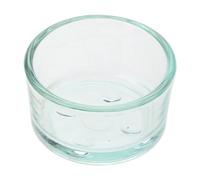 Cnrfeoap Anti-Escape Reptiles Feeding Bowl Rock Food Bowl Glass Feeder Dish For Leopard Scorpions
