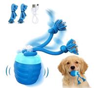Cnrfeoap Auto-Rolling Dog Toy with Touch Activation and Bird Chirps to Encourage Play and Indoor Outdoor Toy Anxieties Relief Toy