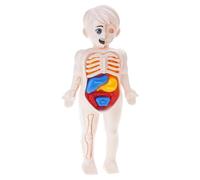 Cnrfeoap S Hands-on Anatomy Puzzle Detachable Human Body Model STEM Science Learning Activity Anatomy Assembly for Preschool Biology Learning Tool