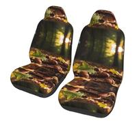 CNTDBU Acorn Oak Leaf Car Seat Covers 2 Pack-Universal Fit Front Seat Protector for Cars SUV Truck, Elastic Bottom Breathable Auto Seat Covers