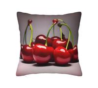 CNTDBU Chilean cherries Double Sided Plush Cushion Cover-Soft Cozy Square Pillow Case with Hidden Zip, Decorative Throw Pillow Cover for Bed Sofa Car