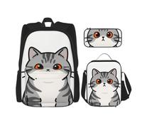 CNTDBU Tabby Cat Face Backpack Lunch Bag Pouch Set-3 in 1 Travel Bag for Commuters, Insulated Lunch Tote for Work with Laptop Sleeve