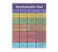 CNTUSRXT Neuroanatomy Study Guide Brain Stem Midbrain Pons Medulla Oblongata and Cranial Nerves Chart(Framed,08x12inch(20x30cm))