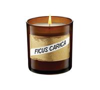 Ficus Carica (Fig) Candle Co Bigelow Multi One Size