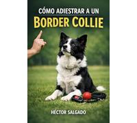 Cómo Adiestrar a un Border Collie (Cómo Adiestrar a un Perro de Raza)