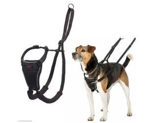 CoA Halti No Pull Harness Small