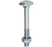 Coach Bolts Stainless Steel M6 100mm Pack of 10