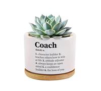 Coach Definition Coach Gifts for Sports Trainor Gym Instructor Mentor Volleyball Basketball Soccer Football Trainor Ceramic Succulent Plant Pot with Bamboo Tray Round Home Office Decor 3.5 Inch White