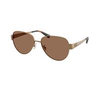Coach HC7186 CDP37 948473 Womenâs Sunglasses Brown Size 57