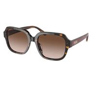 Coach HC8335U C7989 512013 Womenâs Sunglasses Tortoiseshell Size 53