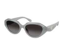 Coach HC8433U CBY77 Polarized 5905T3 Women’s Sunglasses Grey Size 52