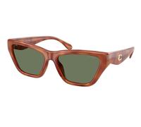 Coach HC8449U CDP33 577482 Womenâs Sunglasses Tortoiseshell Size 56