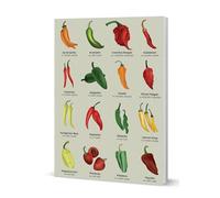 Coach House Partners Chillies Softcover Notebook, A5, 120 Pages Lined, Hot Peppers Note Book, Multi-Coloured