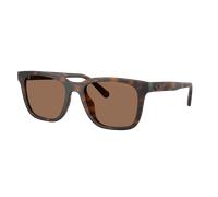 Coach Man Sunglass CAD81 - Frame color: Matte Dark Tortoise, Lens color: Brown Solid