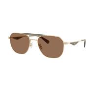 Coach Man Sunglass CAE80 - Frame color: Satin Light Gold/Olive Green, Lens color: Brown Solid