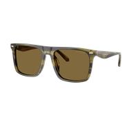 Coach Man Sunglass CBY95 - Frame color: Olive Stripes, Lens color: Green Grey